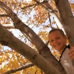 My Monkey Boy