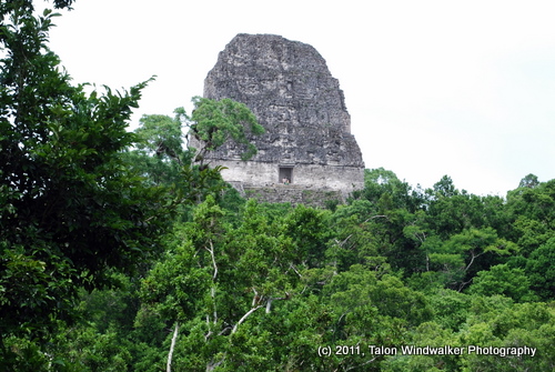 Visiting Lord Chocolate in Tikal