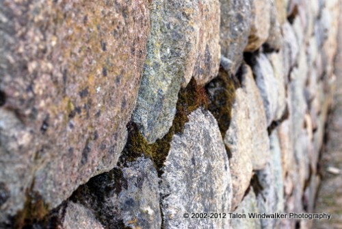 Growth from the Cañari mortar