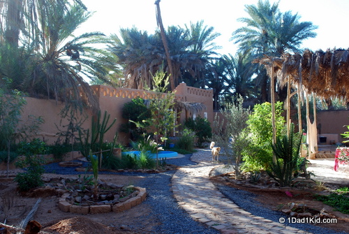 Oasis, Tighmert, Guelmim, Morocco