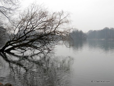 Winter lake