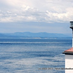 Our first 18 hours back in the US