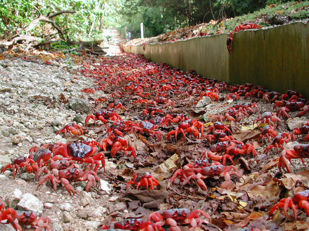 Christmas Island