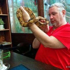 Budapest Zoo Cafe, a real treat for animal lovers