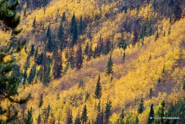 rocky mountain national park, autumn